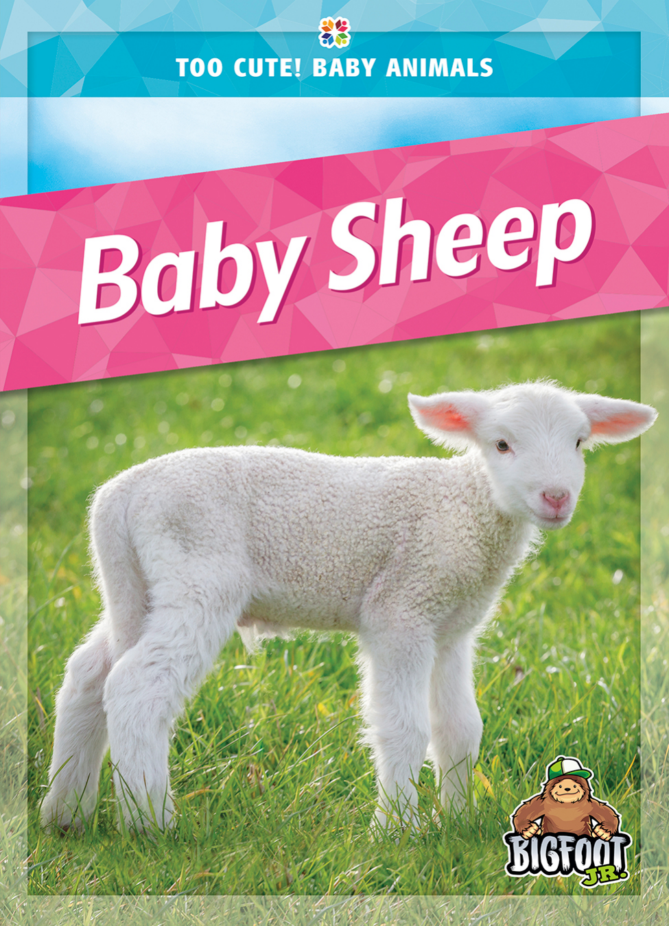 Baby Sheep Sexton Colleen