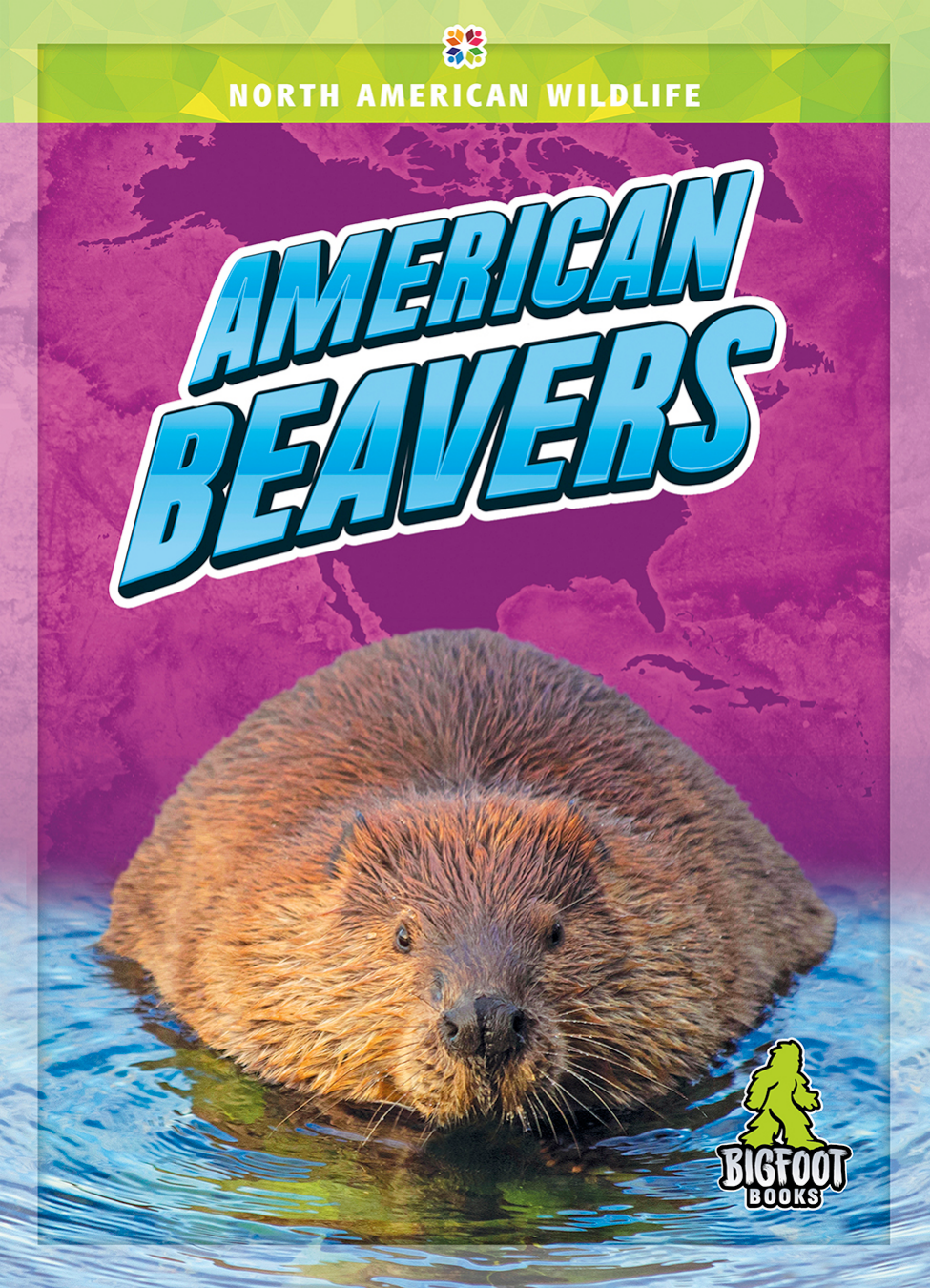 American Beavers Mason Jenny