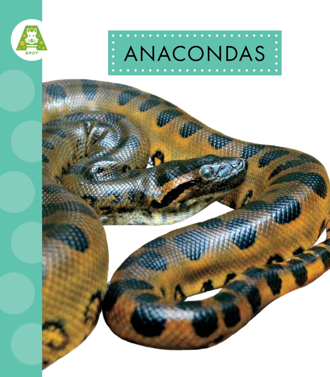 Anacondas Alissa Thielges