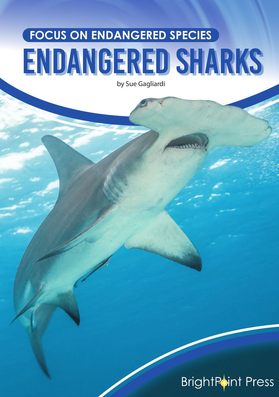 Endangered Sharks Sue Gagliardi