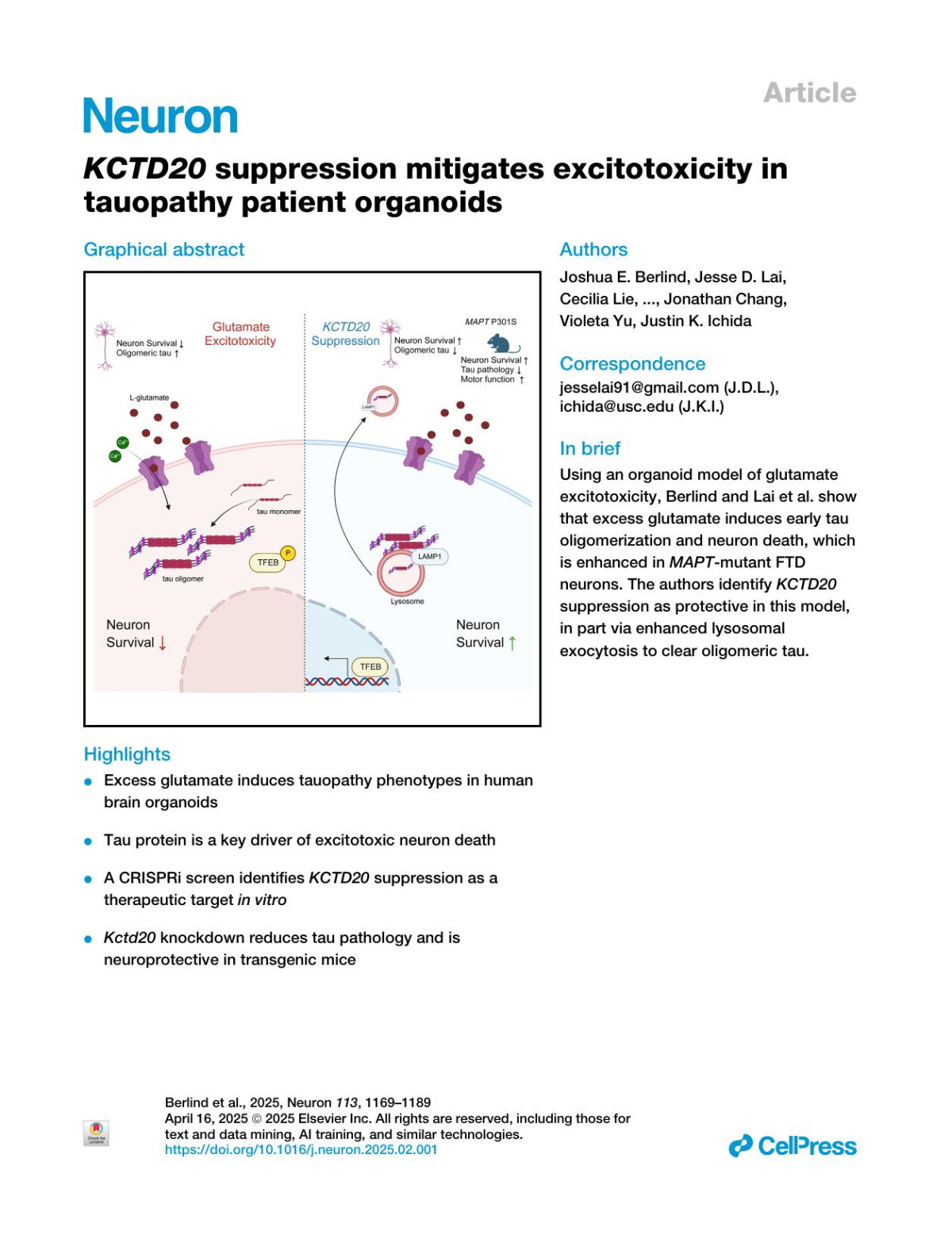 Kctd20 Suppression Mitigates Excitotoxicity In Tauopathy Patient Organoids Joshua E Berlind Jesse D Lai Cecilia Lie Jokabeth Vicente Kelsey Lam Sheron Guo Jonathan Chang Violeta Yu Justin K Ichida