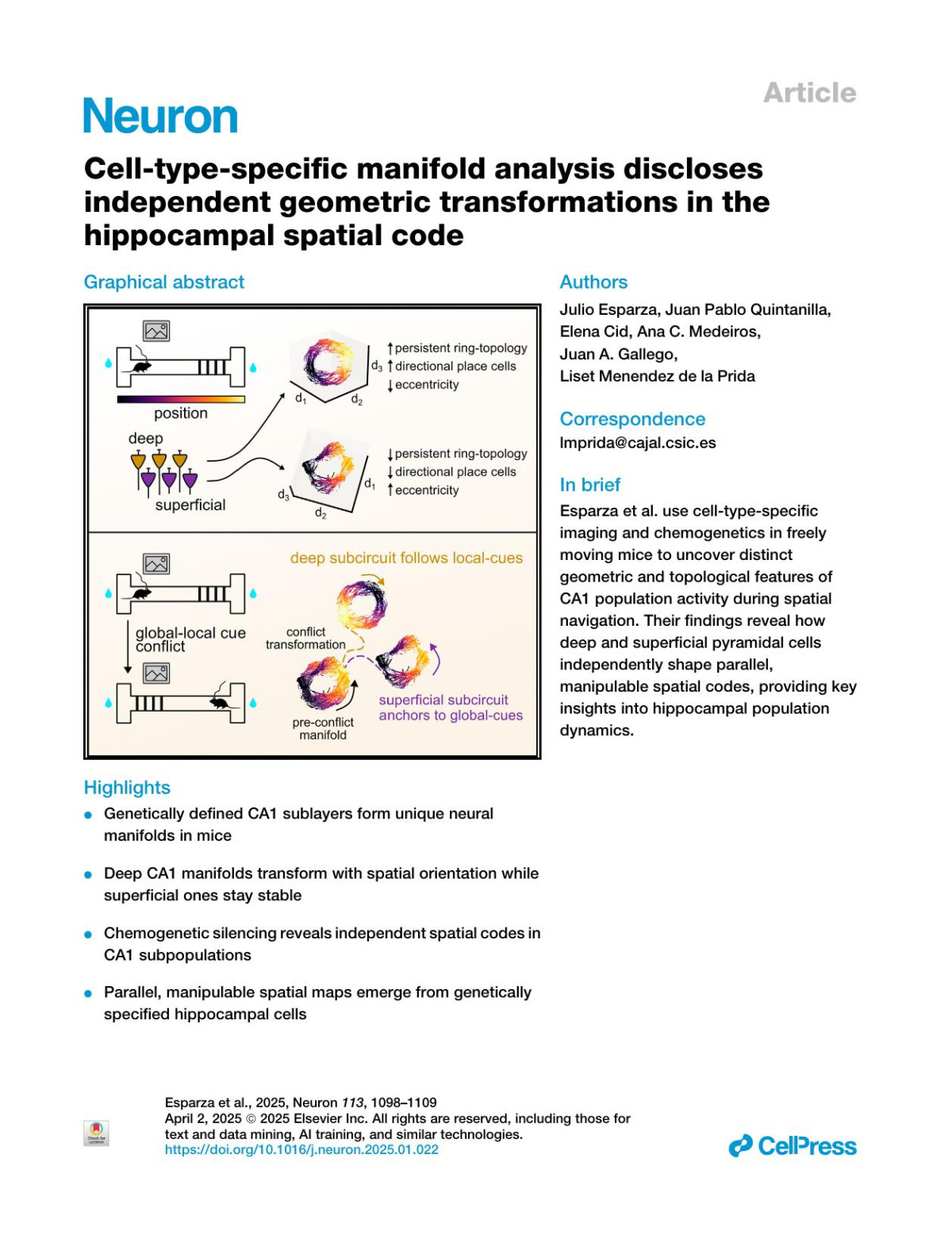 Celltypespecific Manifold Analysis Discloses Independent Geometric Transformations In The Hippocampal Spatial Code Julio Esparza Juan Pablo Quintanilla Elena Cid Ana C Medeiros Juan A Gallego Liset Menendez De La Prida