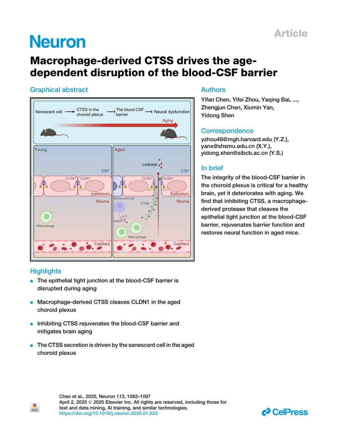Macrophagederived Ctss Drives The Agedependent Disruption Of The Bloodcsf Barrier Yifan Chen Yifei Zhou Yaqing Bai Kaiwen Jia Hao Zhang Qingxia Chen Mengjiao Song Yumin Dai Jiantao Shi Zhengjun Chen Xiumin Yan Yidong Shen