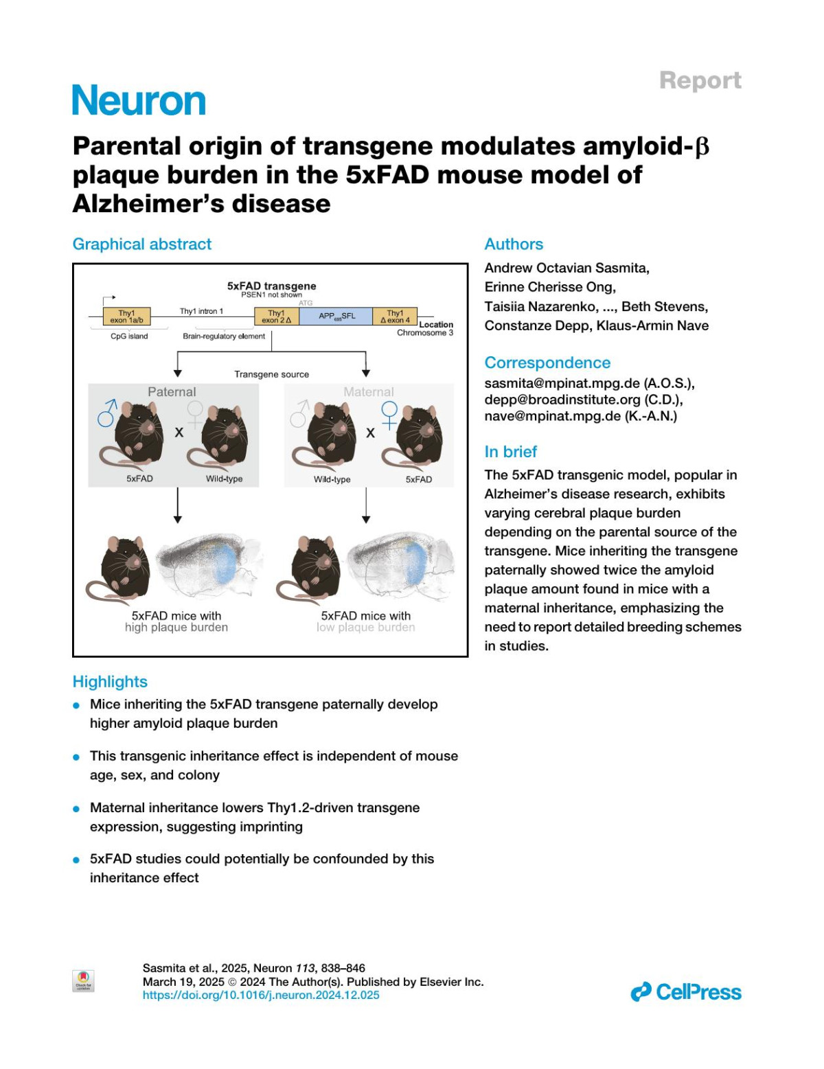Parental Origin Of Transgene Modulates Amyloidbeta Plaque Burden In The 5xfad Mouse Model Of Alzheimers Disease Andrew Octavian Sasmita Erinne Cherisse Ong Taisiia Nazarenko Shuying Mao Lina Komarek Maik Thalmann Veronika Hantakova Lena Spieth Stefan A Berghoff Helena J Barr Maximilian Hingerl Friederike Börensen Johannes Hirrlinger