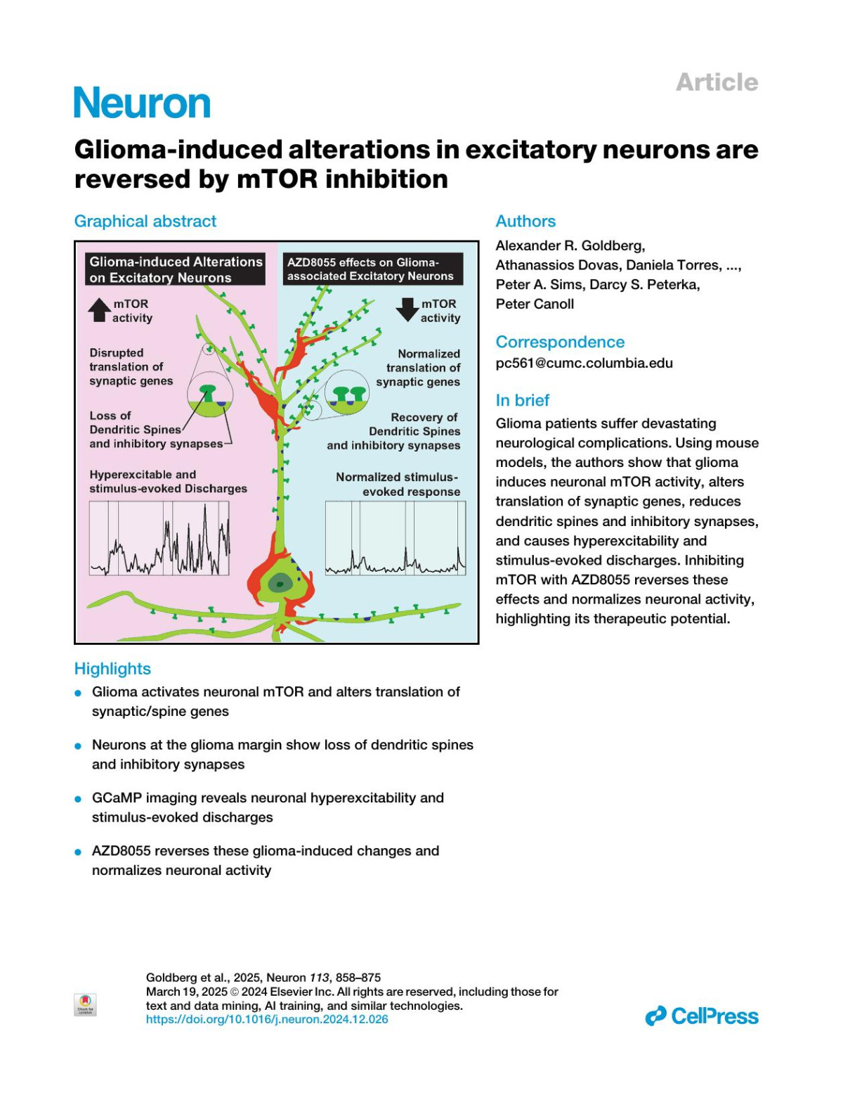 Gliomainduced Alterations In Excitatory Neurons Are Reversed By Mtor Inhibition Alexander R Goldberg Athanassios Dovas Daniela Torres Brianna Pereira Ashwin Viswanathan Sohani Das Sharma Angeliki Mela Edward M Merricks Cristina Meginoluque Julie J Mcinvale Markel Olabarria Leila Abrishami Shokooh Hanzhi
