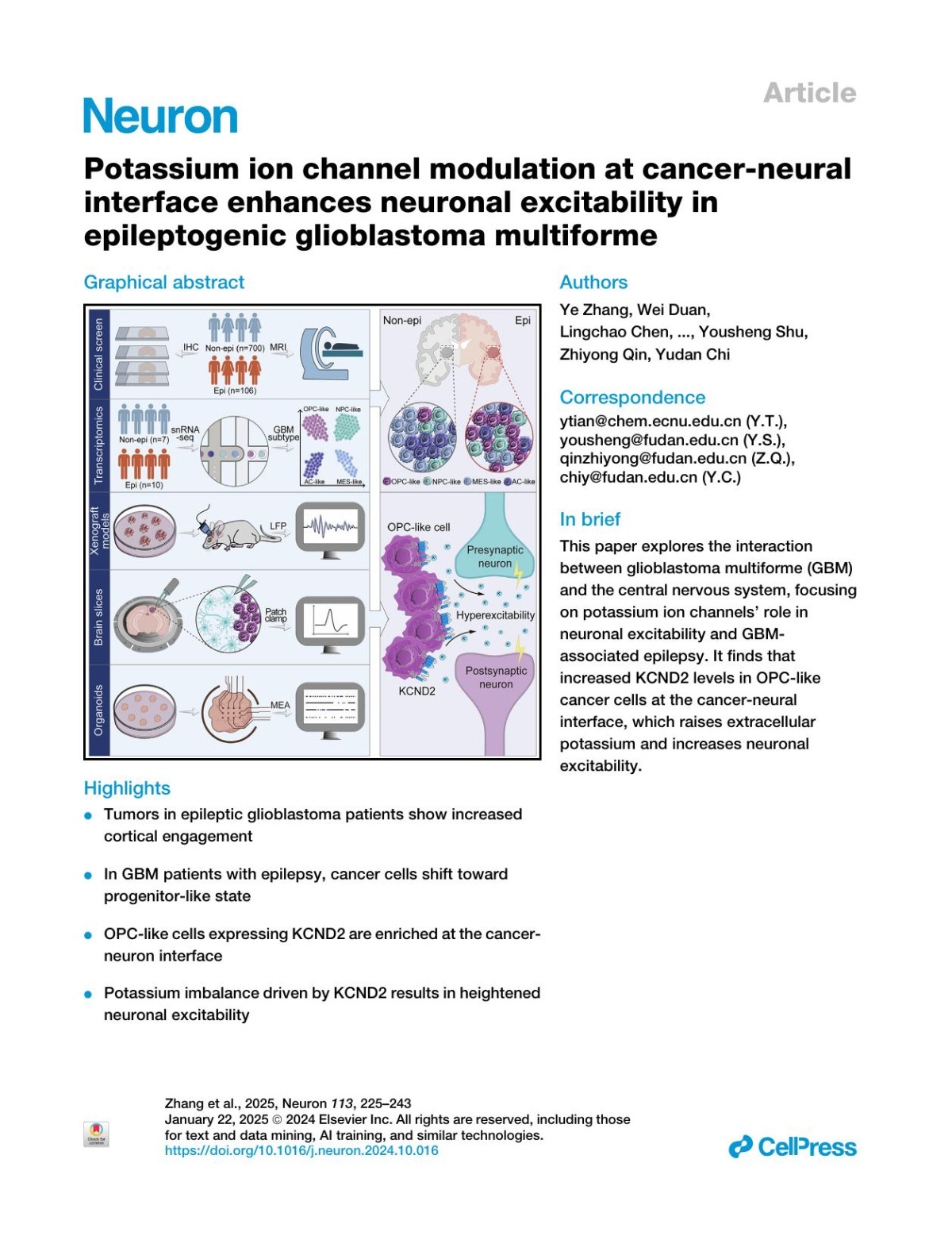 Potassium Ion Channel Modulation At Cancerneural Interface Enhances Neuronal Excitability In Epileptogenic Glioblastoma Multiforme Ye Zhang Wei Duan Lingchao Chen Junrui Chen Wei Xu Qi Fan Shuwei Li Yuandong Liu Shidi Wang Quansheng He Xiaohui Li Yang Huang Haibao Peng Jiaxu Zhao Qiangqiang Zhang Zhixin Qiu Zhicheng Shao Bo Zhang Yihua Wang