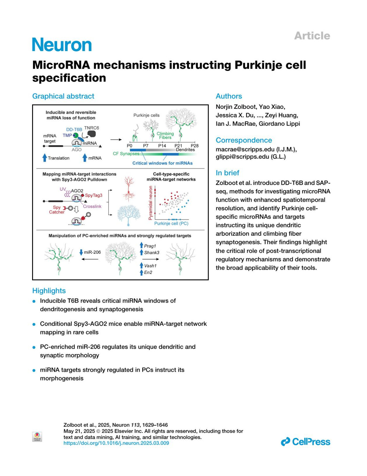 Microrna Mechanisms Instructing Purkinje Cell Specification Norjin Zolboot Yao Xiao Jessica X Du Marwan M Ghanem Su Yeun Choi Miranda J Junn Federico Zampa Zeyi Huang Ian J Macrae Giordano Lippi