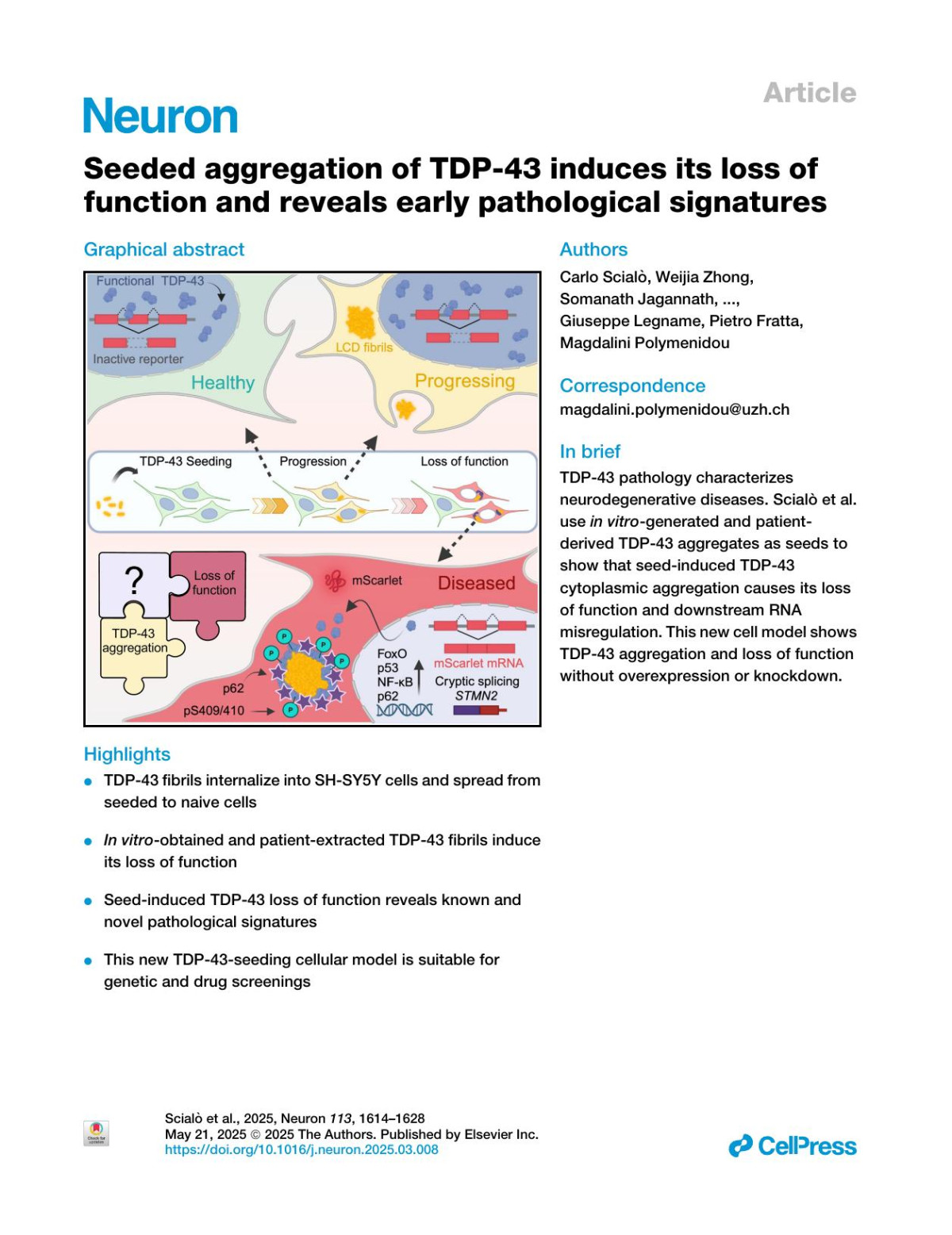 Seeded Aggregation Of Tdp43 Induces Its Loss Of Function And Reveals Early Pathological Signatures Carlo Scialò Weijia Zhong Somanath Jagannath Oscar Wilkins Davide Caredio Marian Hruskaplochan Flavio Lurati Martina Peter Elena De Cecco Luigi Celauro Adriano Aguzzi Giuseppe Legname Pietro Fratta Magdalini Polymenidou