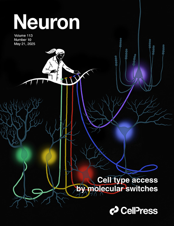 An Enhanceraav Toolbox To Target And Manipulate Distinct Interneuron Subtypes Elisabetta Furlanis
