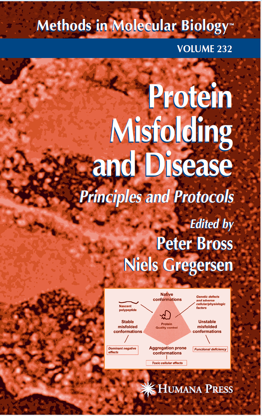 Protein Misfolding Aggregation And Conformational Diseases Part Bprv6 Peter Bross