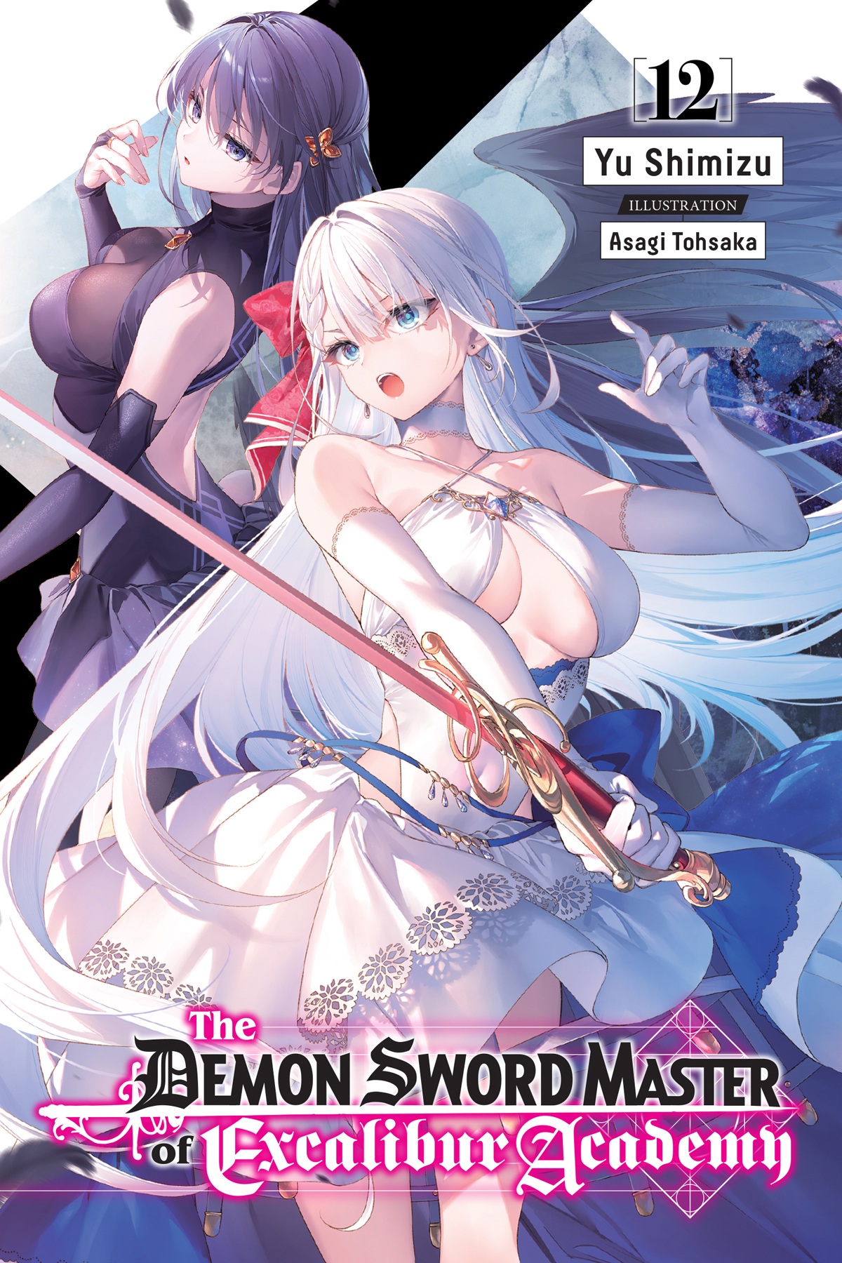 The Demon Sword Master Of Excalibur Academy Vol 12 Yu Shimizu Illustration By Asagi Tohsaka Translation By Roman Lempert