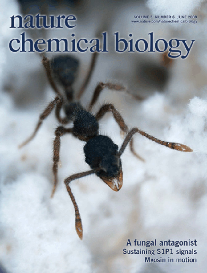 Nature Chemical Biology June 2009 6th Edition Unknown