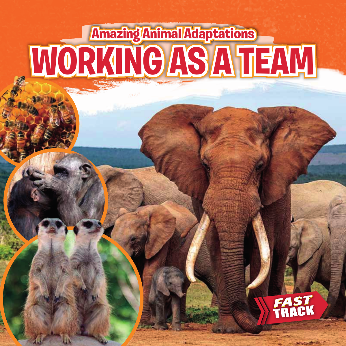 Working As A Team Nancy Dickmann