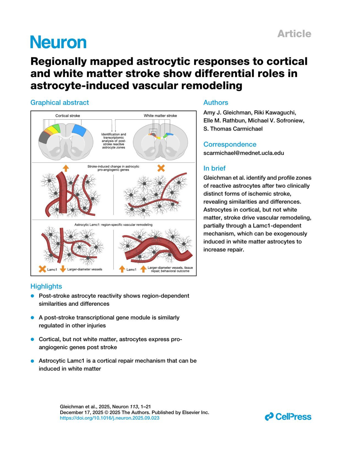 Regionally Mapped Astrocytic Responses To Corticaland White Matter Stroke Show Differential Rolesin Astrocyteinduced Vascular Remodeling Amy J Gleichman Riki Kawaguchi Elle M Rathbun Michael V Sofroniew S Thomas Carmichael