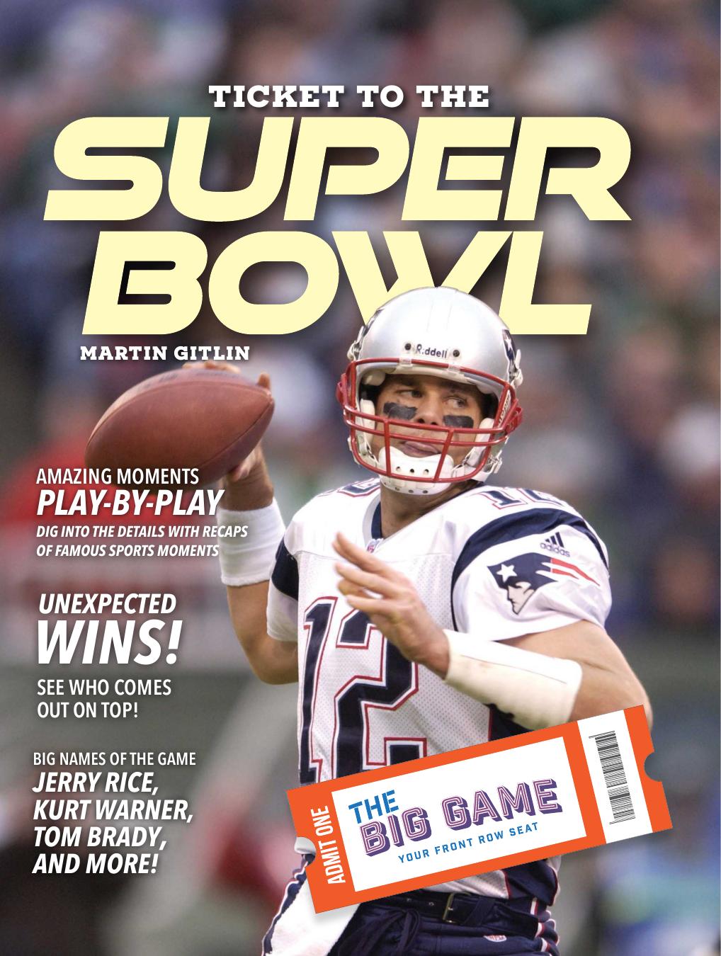 Ticket To The Super Bowl Martin Gitlin