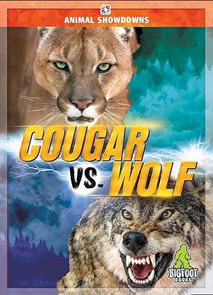 Cougar Vs Wolf Teresa Klepinger