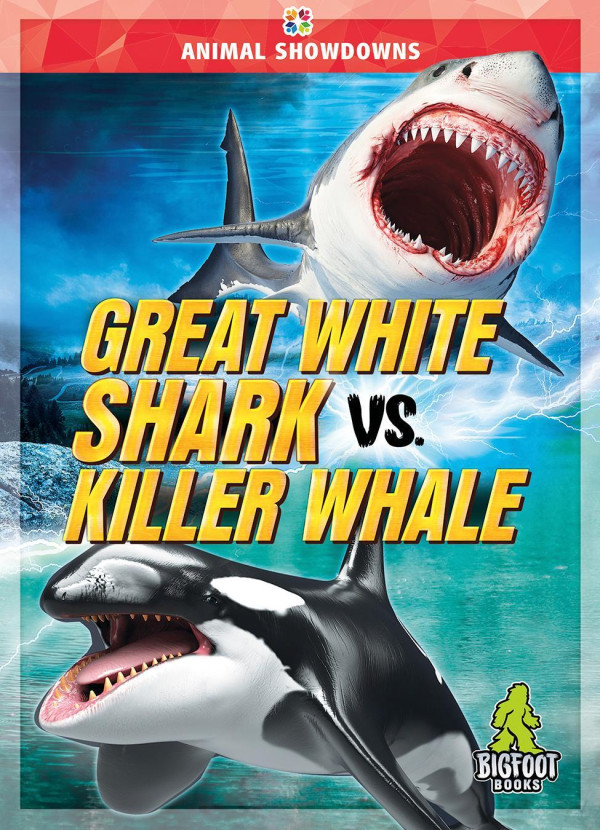 Great White Shark Vs Killer Whale Teresa Klepinger
