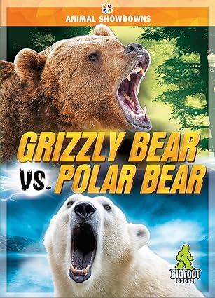 Grizzly Bear Vs Polar Bear Teresa Klepinger