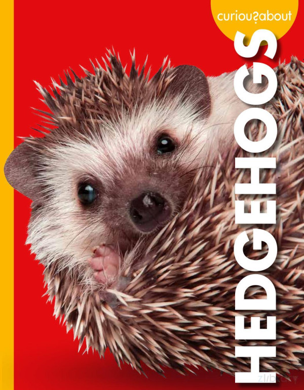 Curious About Hedgehogs Alissa Thielges