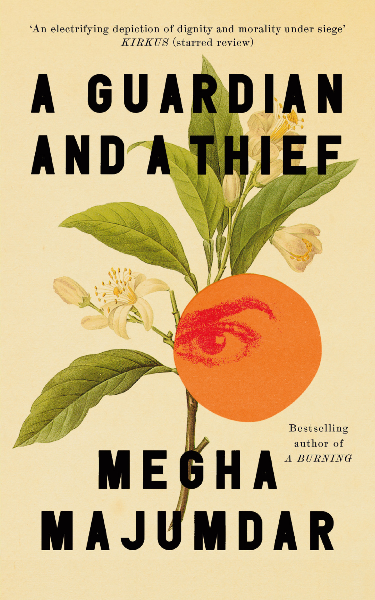 A Guardian And A Thief Megha Majumdar