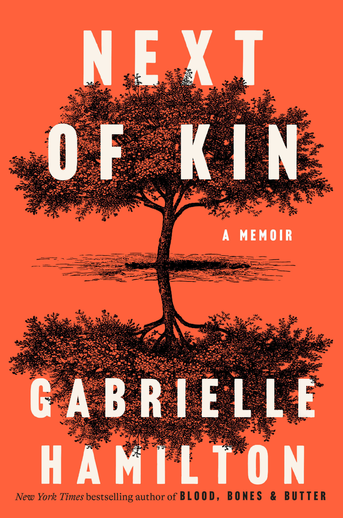 Next Of Kin A Memoir Gabrielle Hamilton