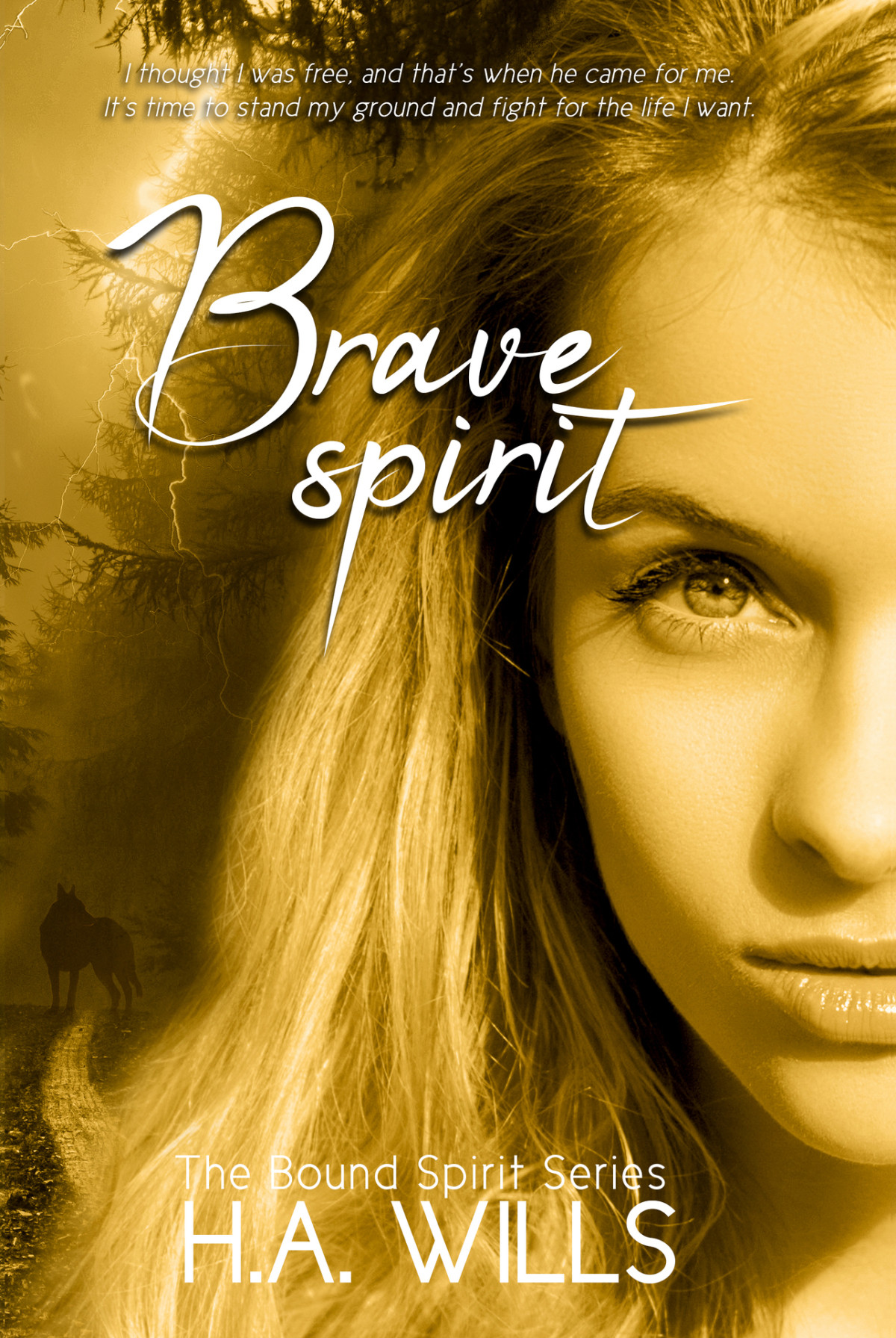 Bound Spirit 6 Brave Spirit H A Wills