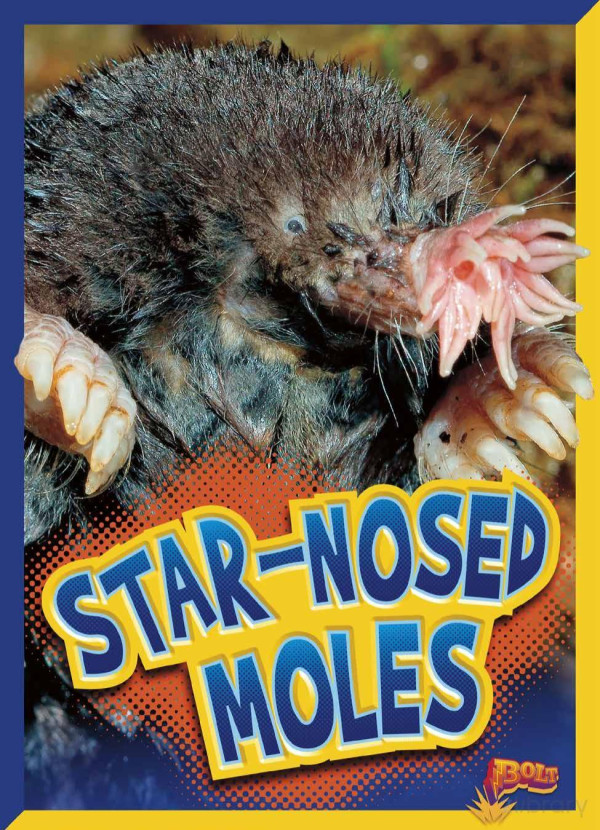 Starnosed Moles Gail Terp