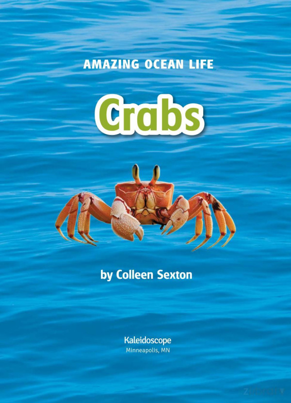 Crabs Colleen Sexton