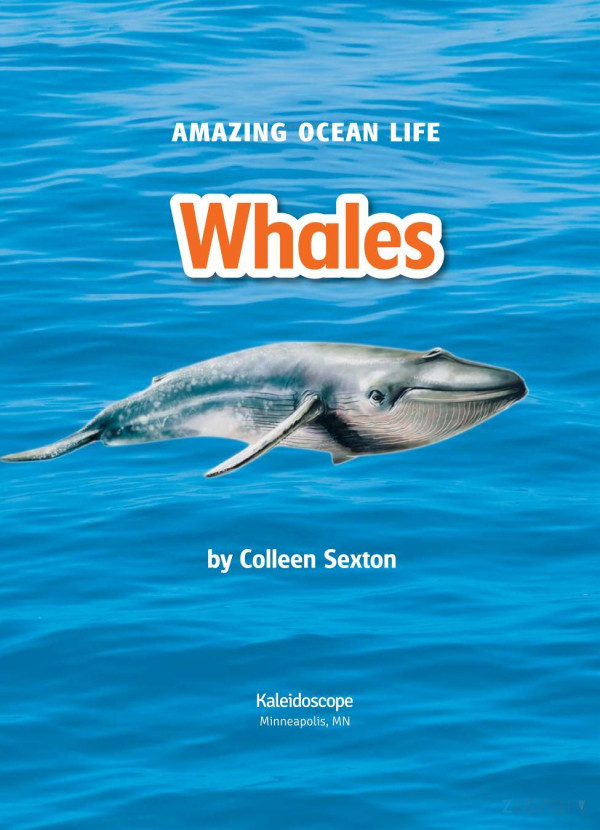 Whales Colleen Sexton