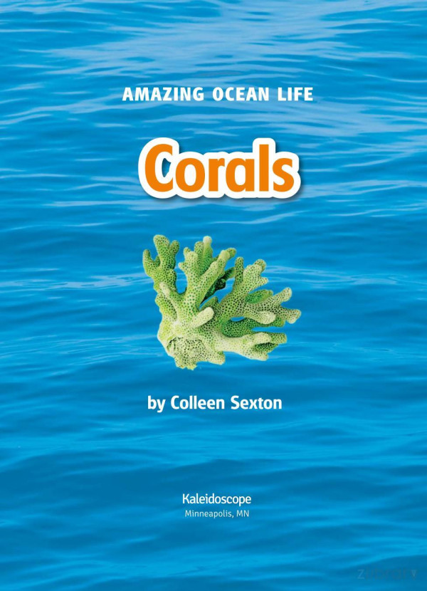 Corals Colleen Sexton