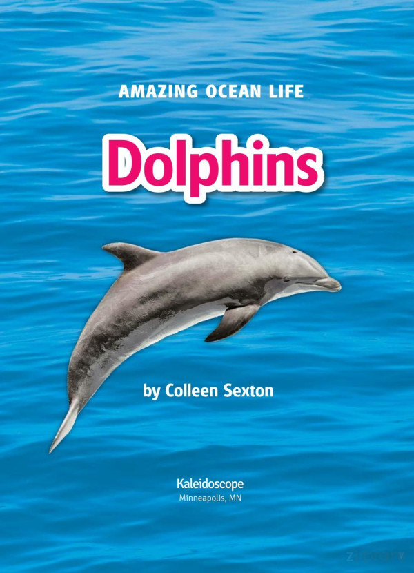 Dolphins Colleen Sexton