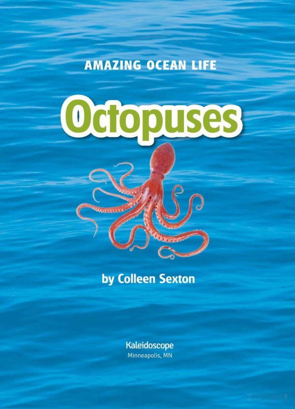 Octopuses Colleen Sexton