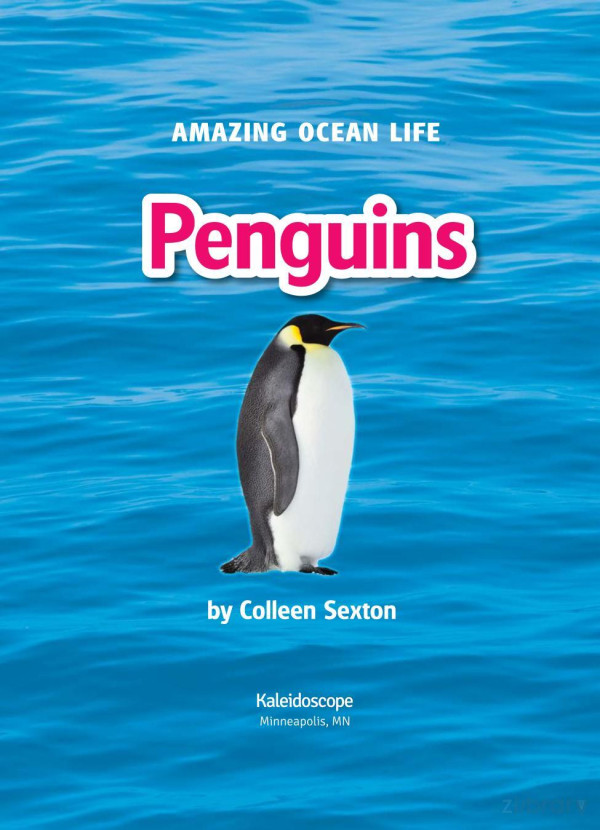 Penguins Colleen Sexton