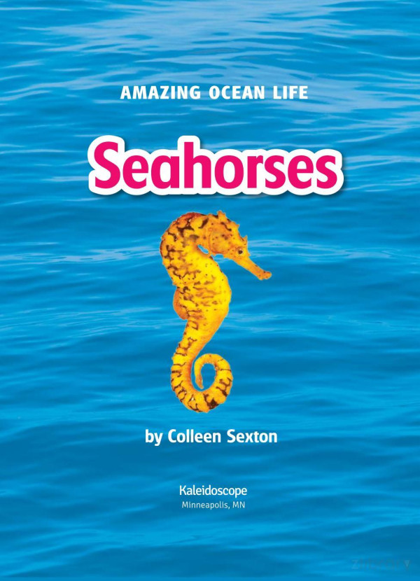 Seahorses Colleen Sexton