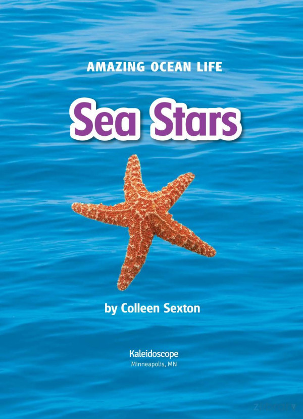 Sea Stars Colleen Sexton