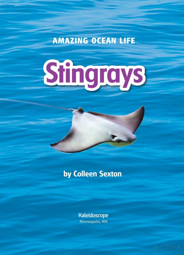Stingrays Colleen Sexton