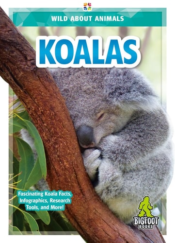 Koalas Renata Marie