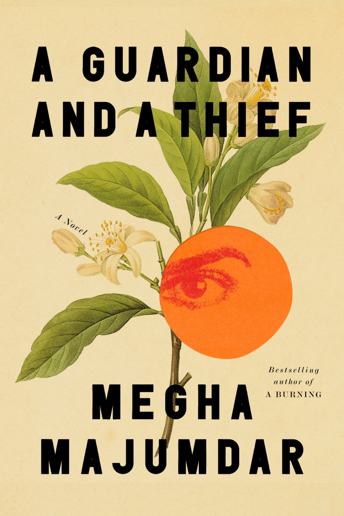A Guardian And A Thief Megha Majumdar