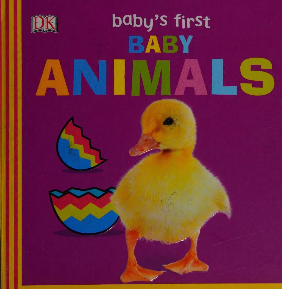 Babys First Baby Animals Sirett Dawn Author