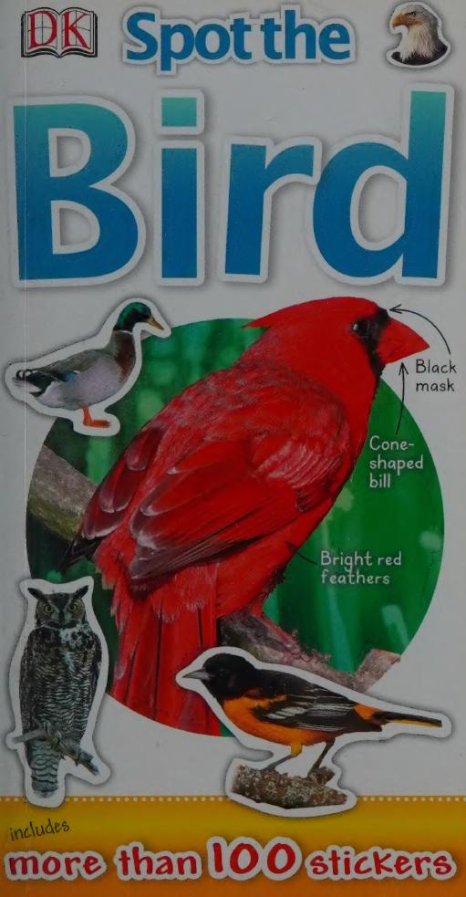 Spot The Bird Dicostanzo Joseph