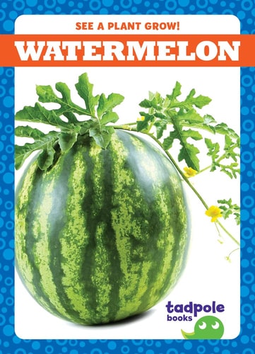 See A Plant Grow Watermelon Charlie W Sterling