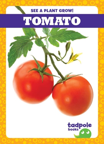See A Plant Grow Tomato Charlie W Sterling