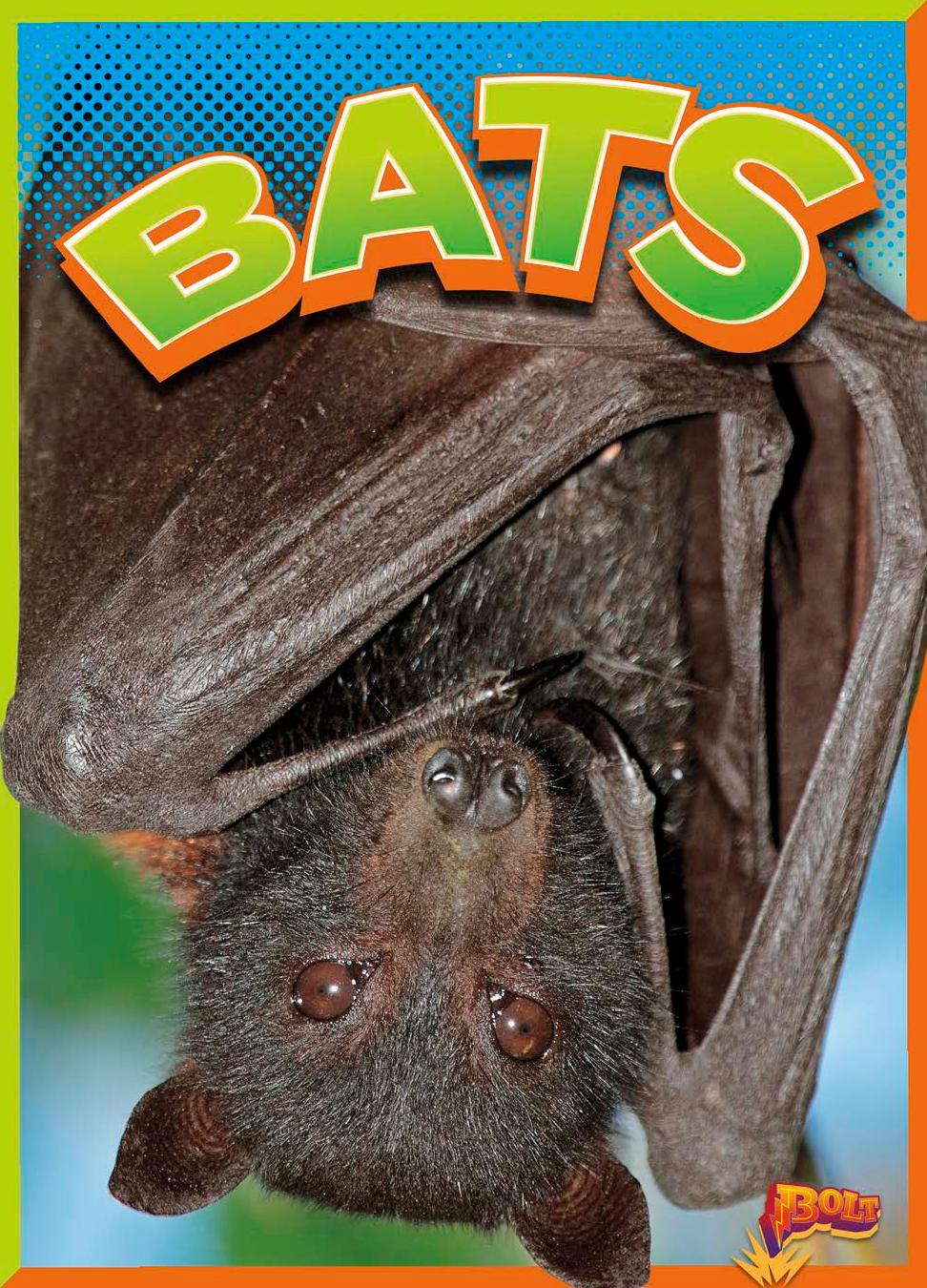 Bats Gail Terp