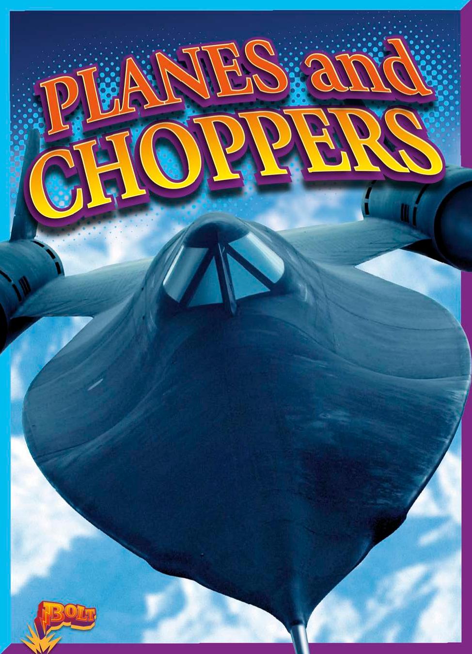 Planes And Choppers Lyn A Sirota