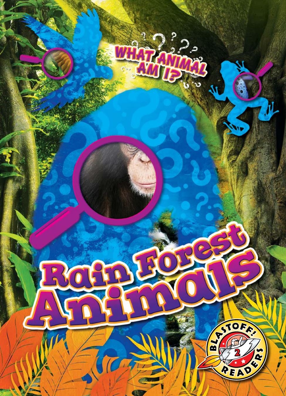 Rain Forest Animals Rebecca Sabelko