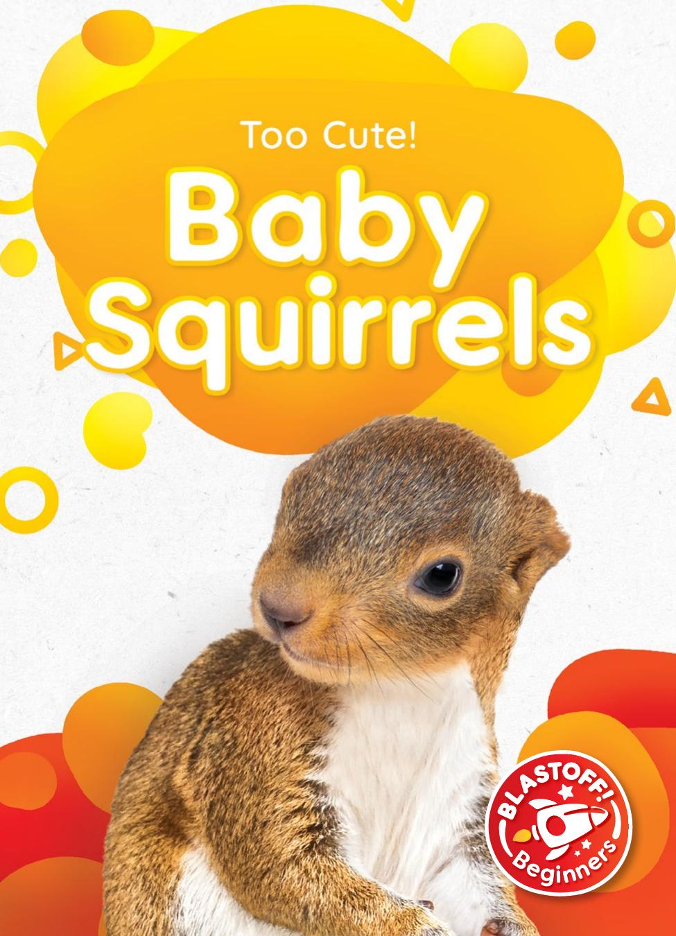Baby Squirrels Elizabeth Neuenfeldt