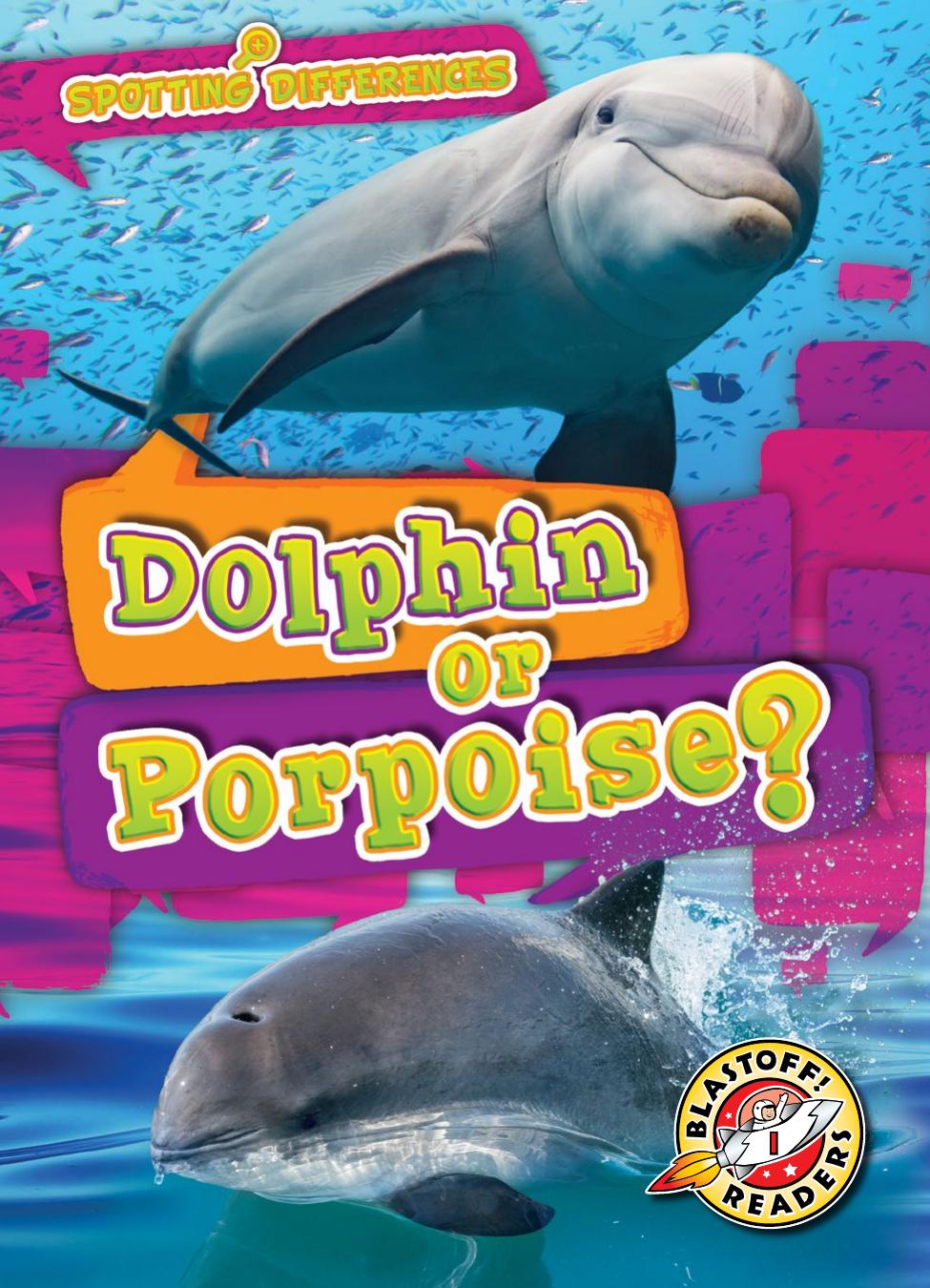 Dolphin Or Porpoise Mari Schuh