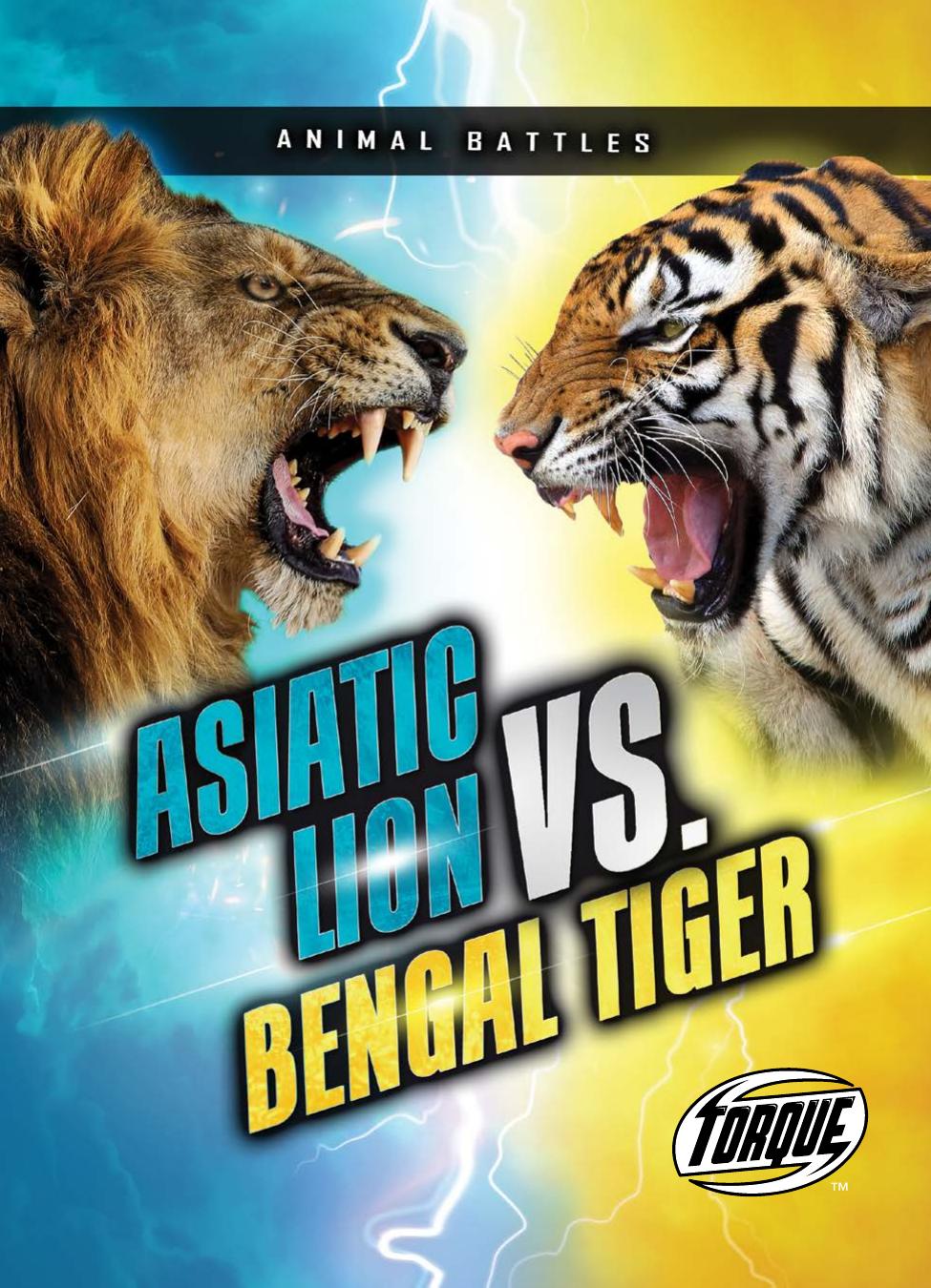 Asiatic Lion Vs Bengal Tiger Kieran Downs