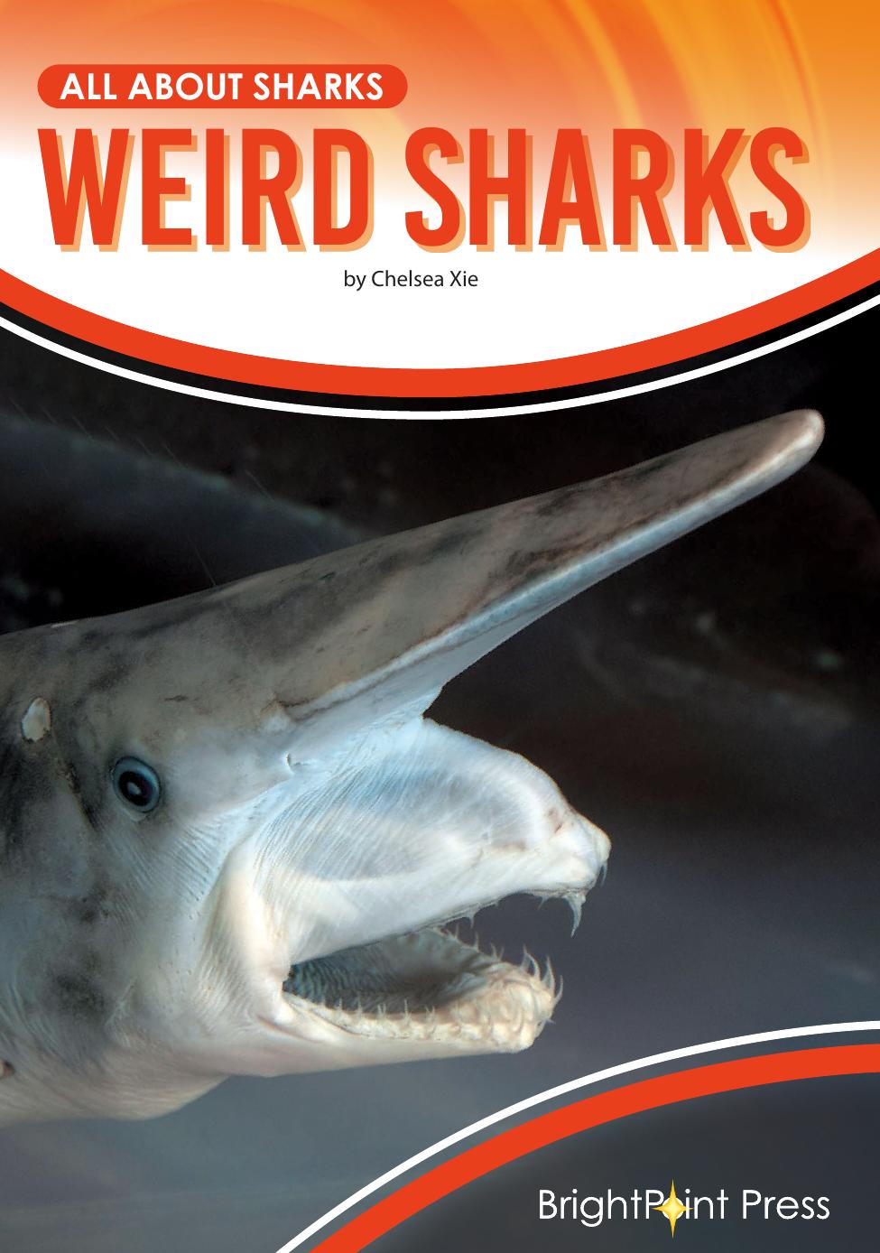Weird Sharks All About Sharks Chelsea Xie