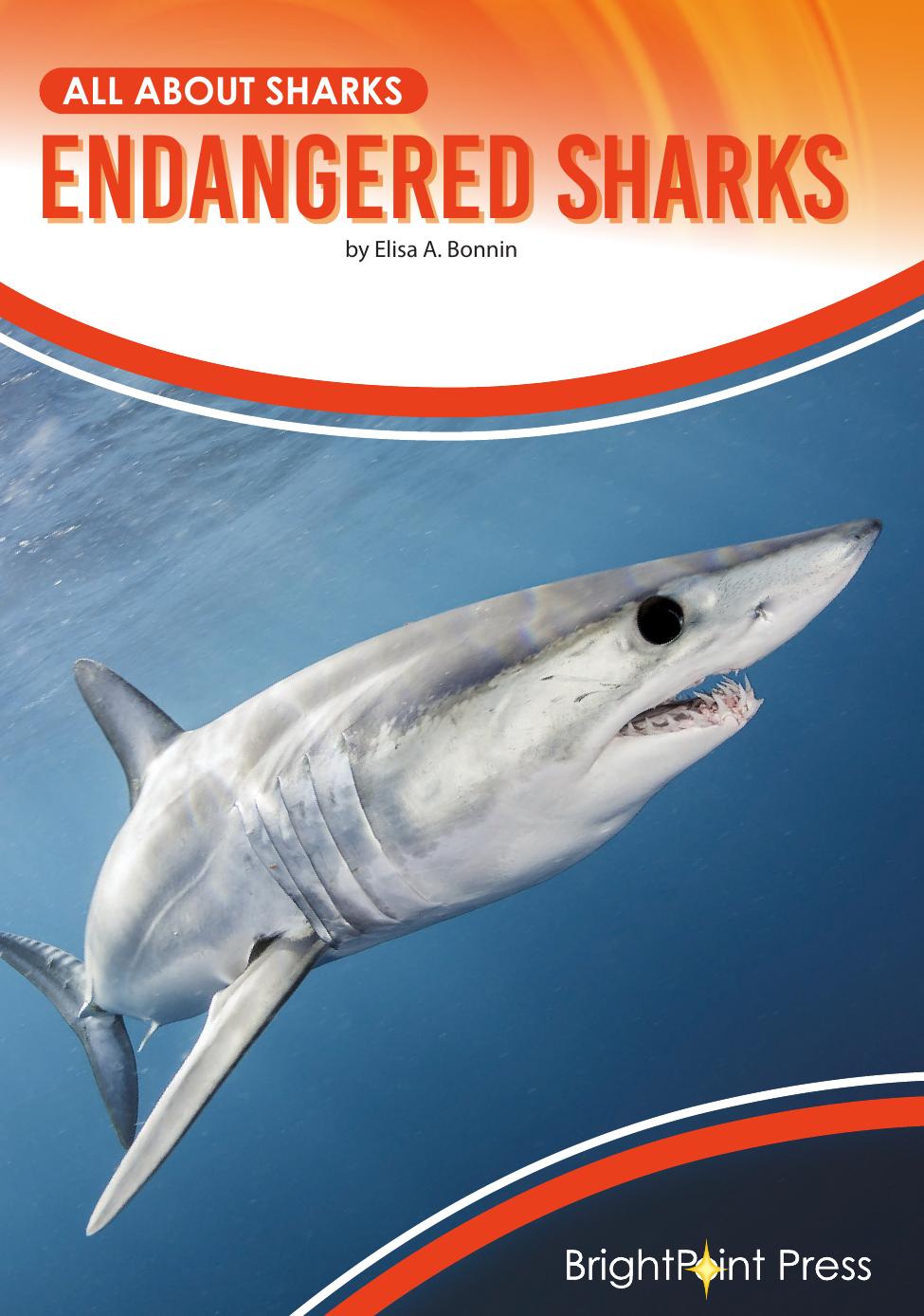 Endangered Sharks Elisa A Bonnin